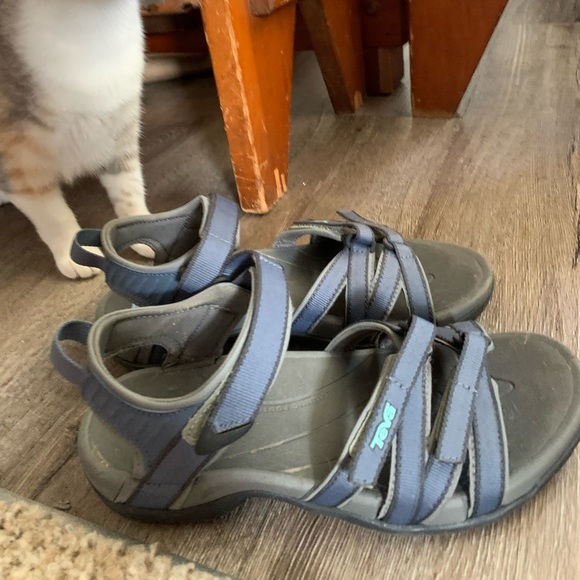 Blue and Gray Tevas s7.5 - Picture 3 of 4